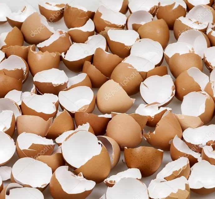 Τα τσόφλια αυγών ως λευκαντικό