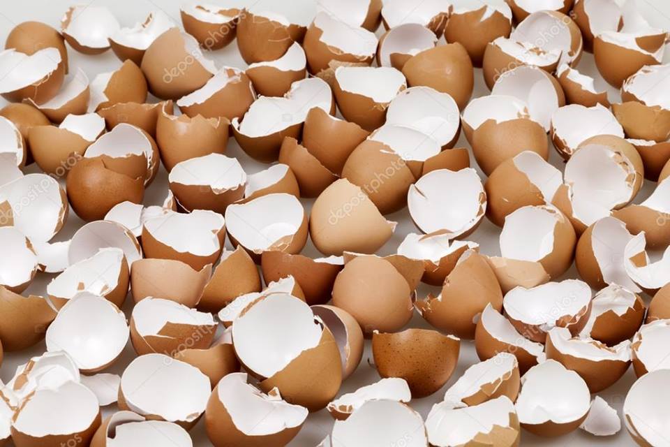 Τα τσόφλια αυγών ως λευκαντικό