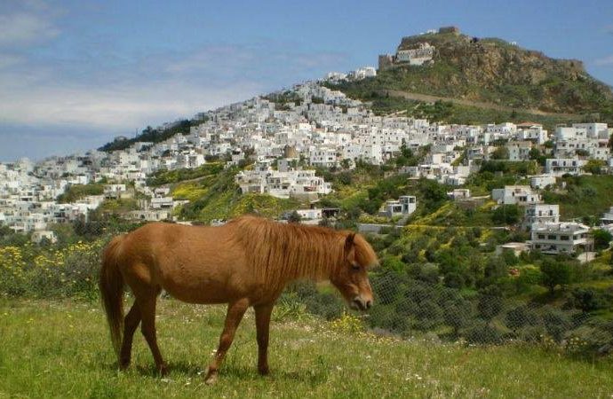 Σκύρος