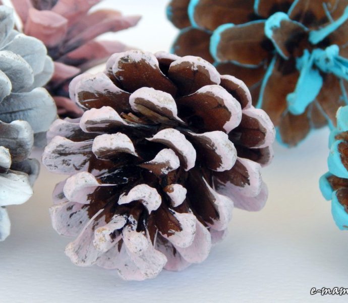 Κουκουνάρια για στόλισμα